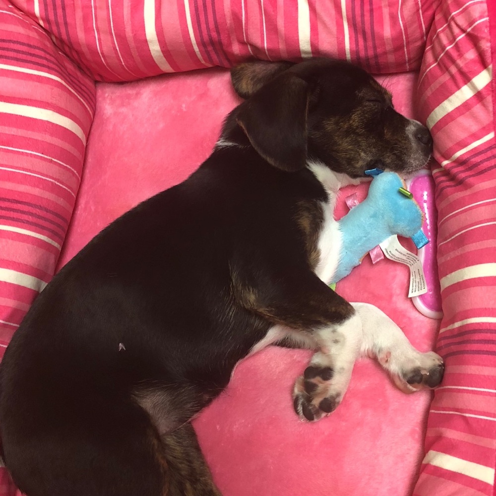 Meet your Posher, Jenna